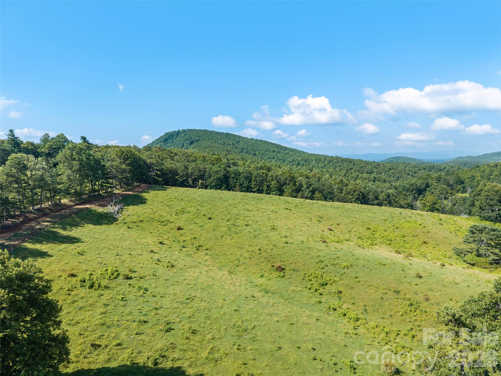 0 Summer Road, Unit 4 Hendersonville, NC 28792 - Photo 3 of 19 Gallery Image 3