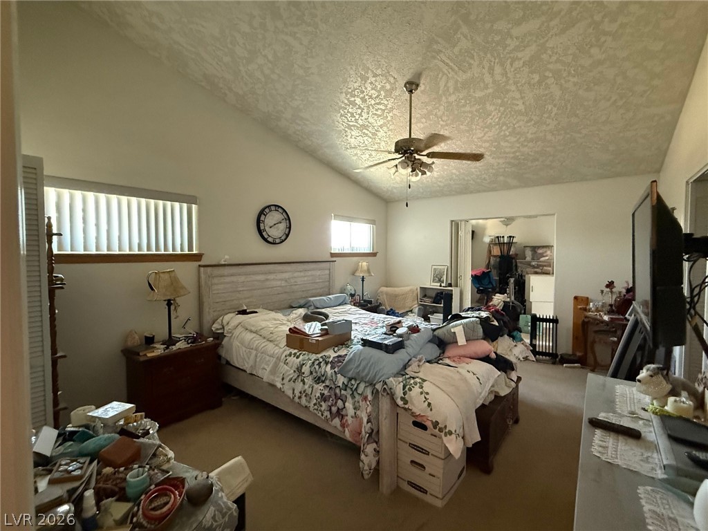 2171 South Blagg Road Pahrump, NV 89048 - Photo 9 of 27 Primary bedroom with sitting room, vaulted ceilings and walkin closet.