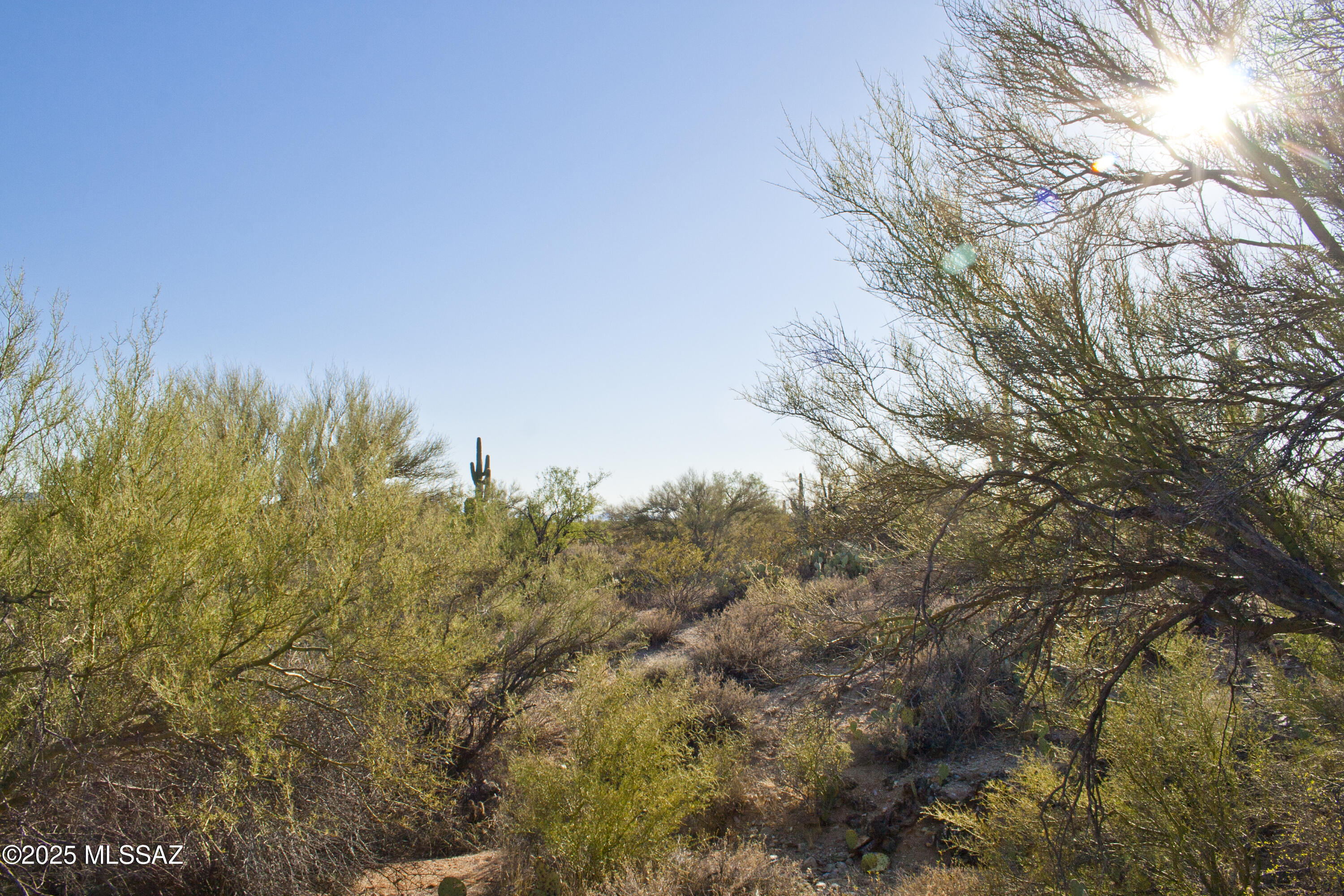 0 Silverian Road Marana, AZ 85658 - Photo 17 of 32