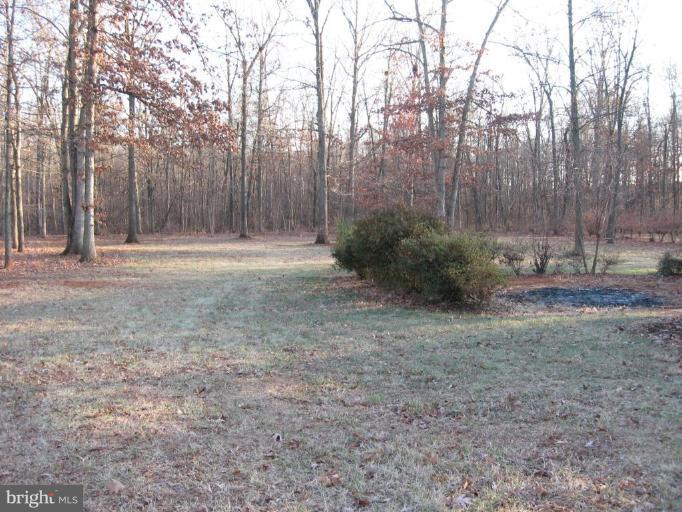 7233 Covingtons Corner Road Bealeton, VA 22712 - Photo 14 of 20 Back yard