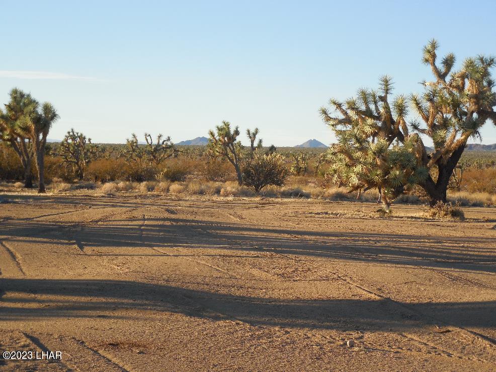 271 South Six Shooter Road Yucca, AZ 86438 - Photo 17 of 54 14r