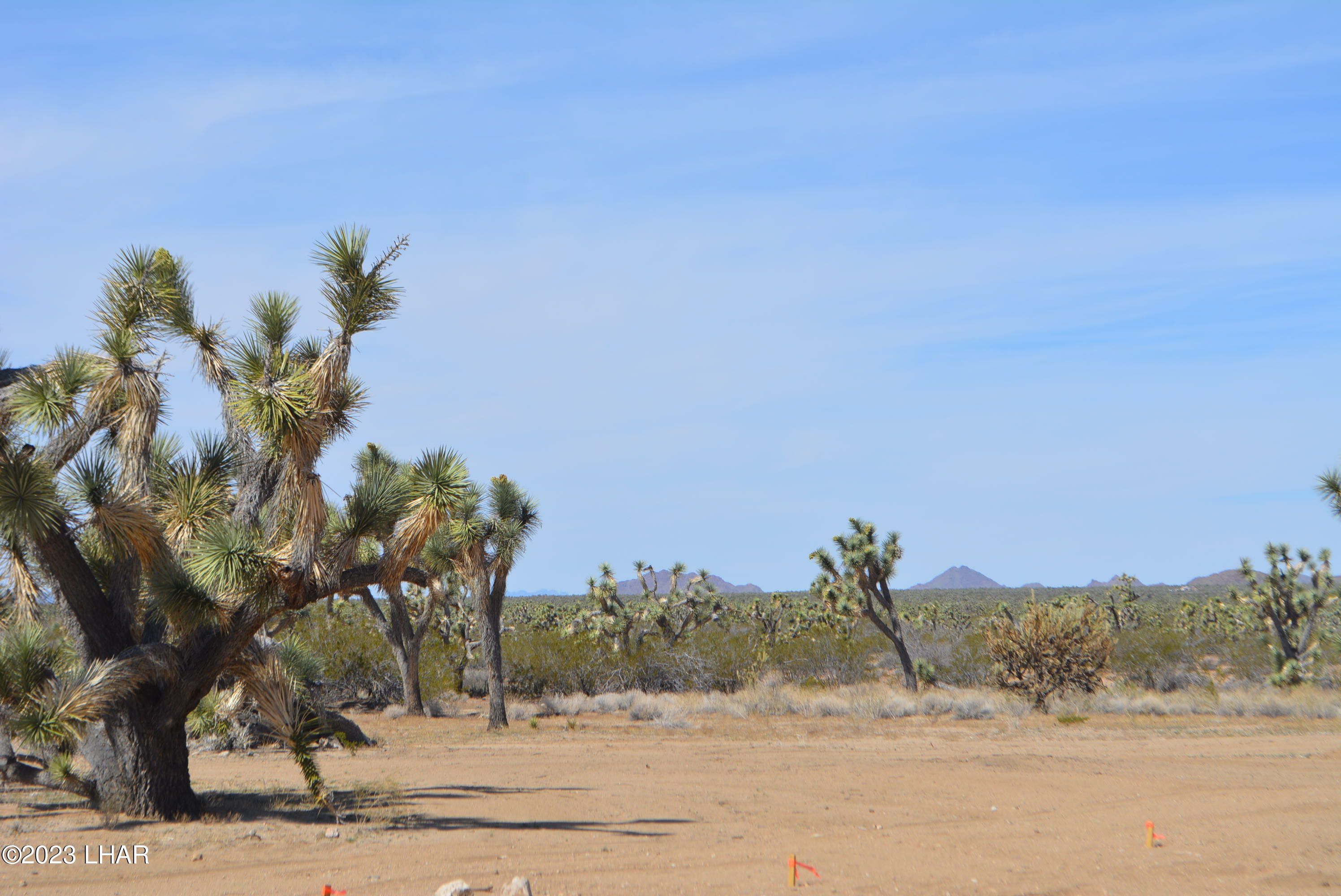 271 South Six Shooter Road Yucca, AZ 86438 - Photo 29 of 54 DSC_0841