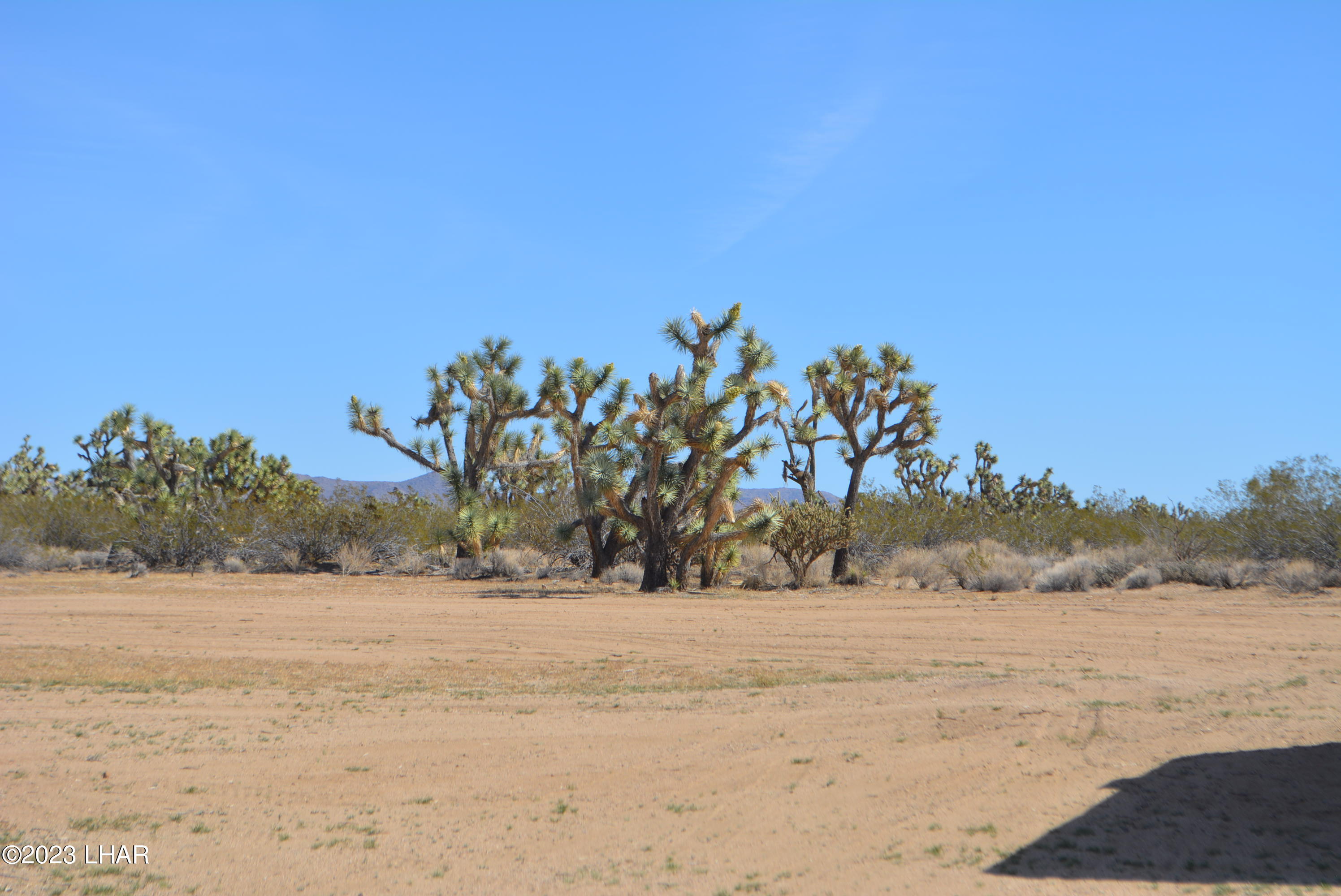 271 South Six Shooter Road Yucca, AZ 86438 - Photo 36 of 54 DSC_0849