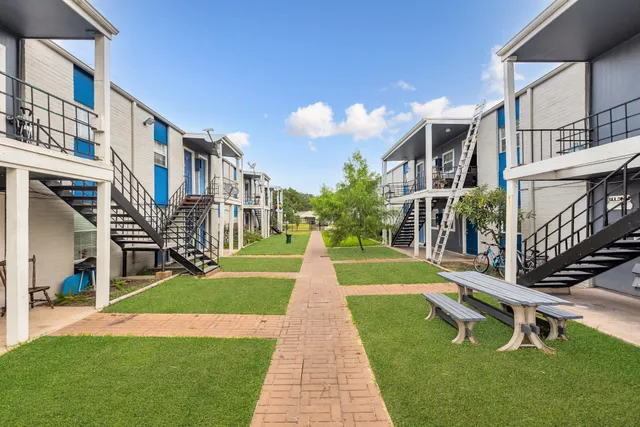 a park with lots of trees and plants