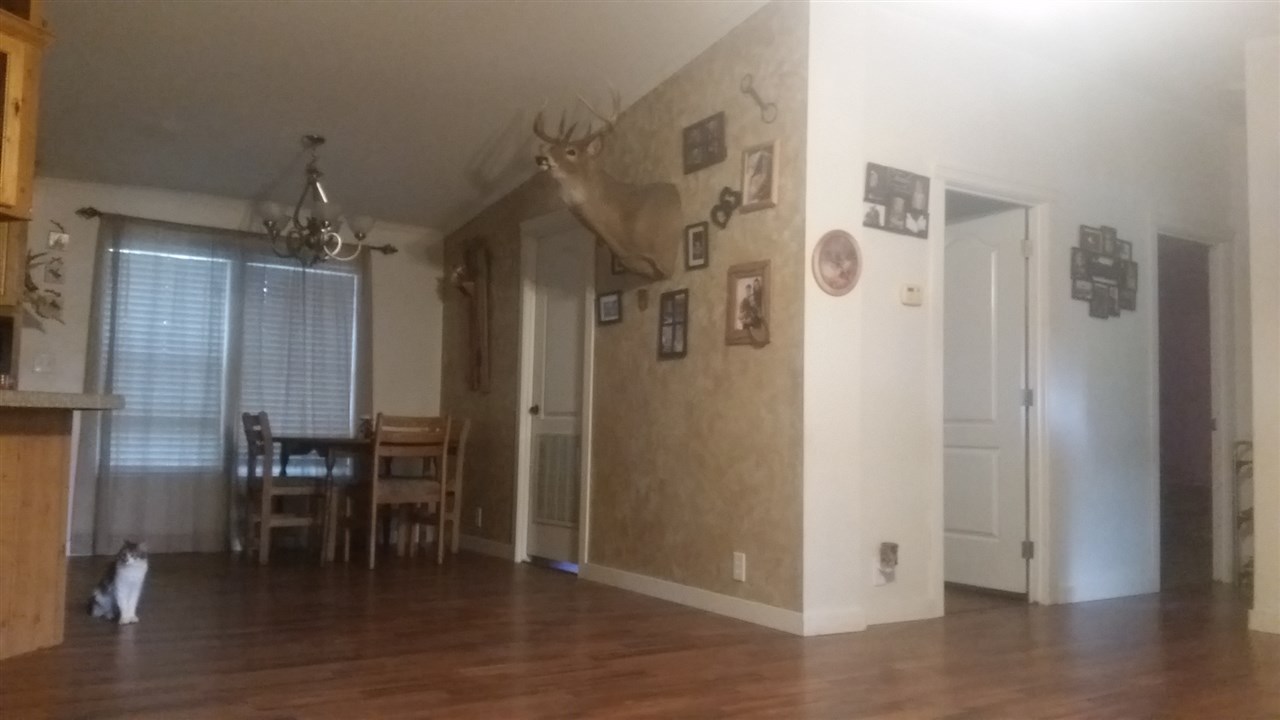 173 Cedar Ridge Way Colville, WA 99114 - Photo 14 of 19