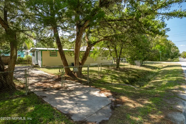 a view of a yard with plants and large trees