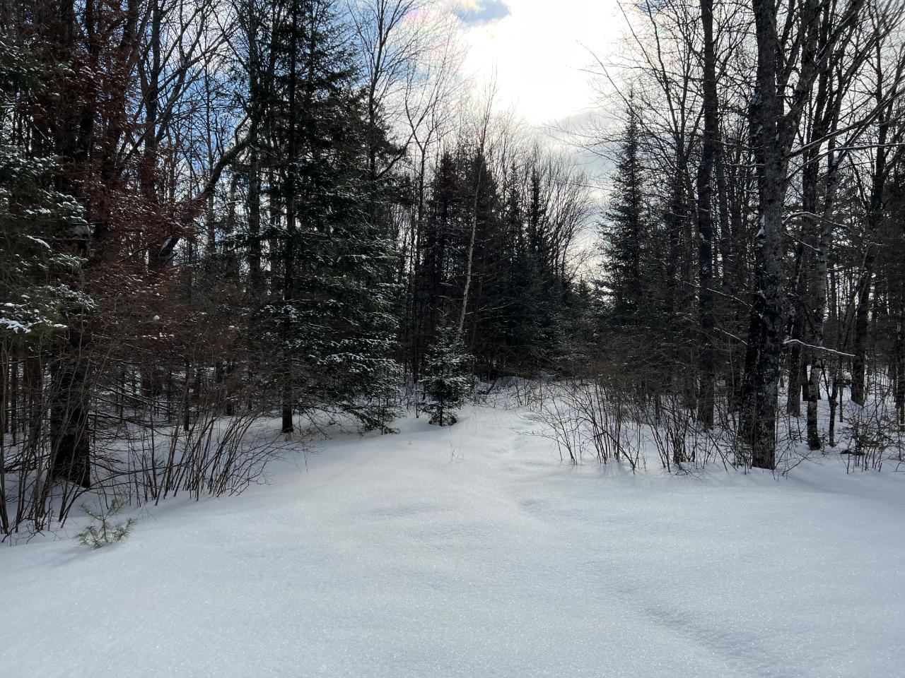 On East Anvil Lake Road, Unit LOT 3 Eagle River, WI 54521 - Photo 1 of 4 Gallery Image 1