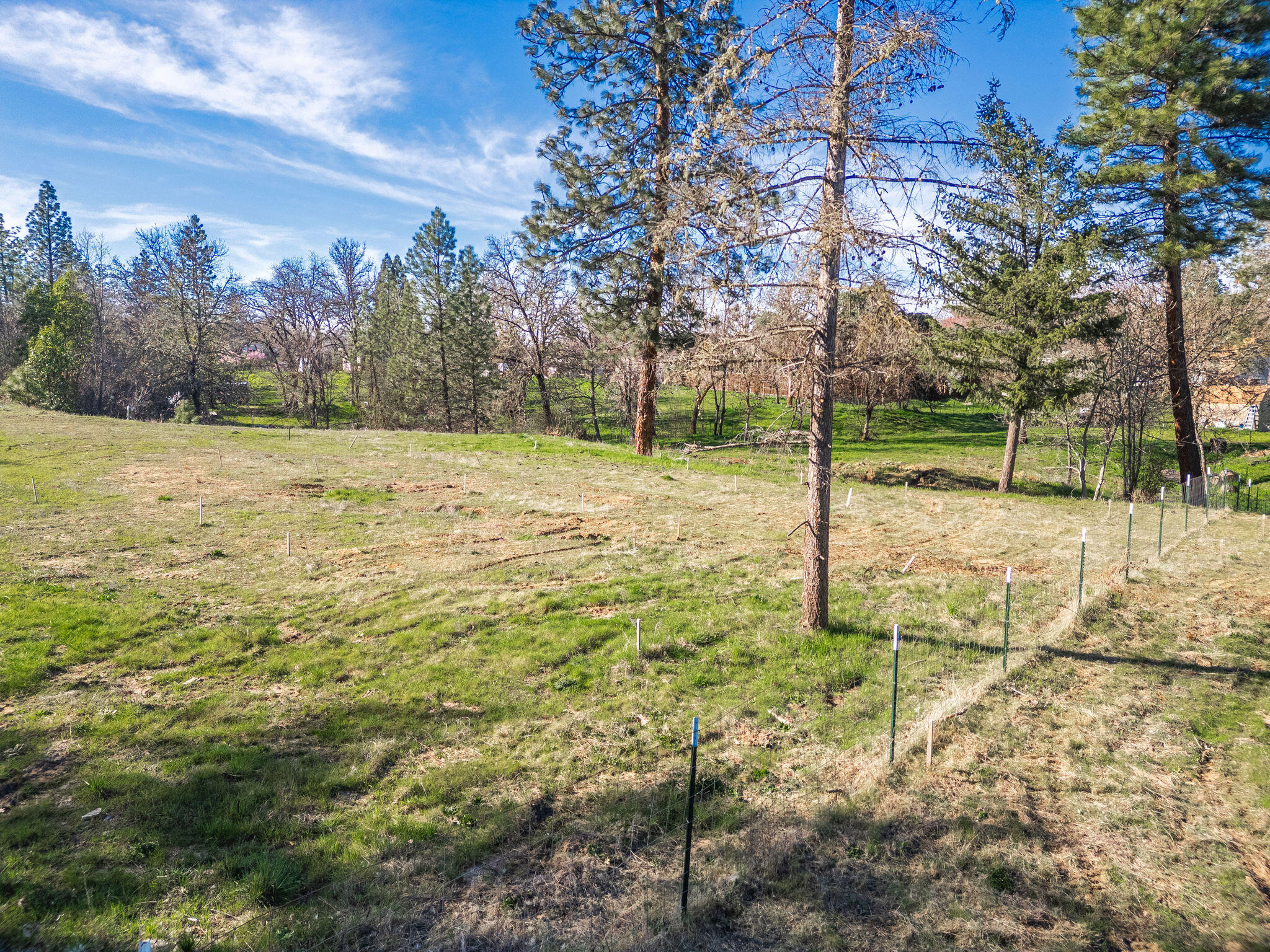 5017 Lane Creek Road, Unit PARCEL 2 Central Point, OR 97502 - Photo 9 of 20