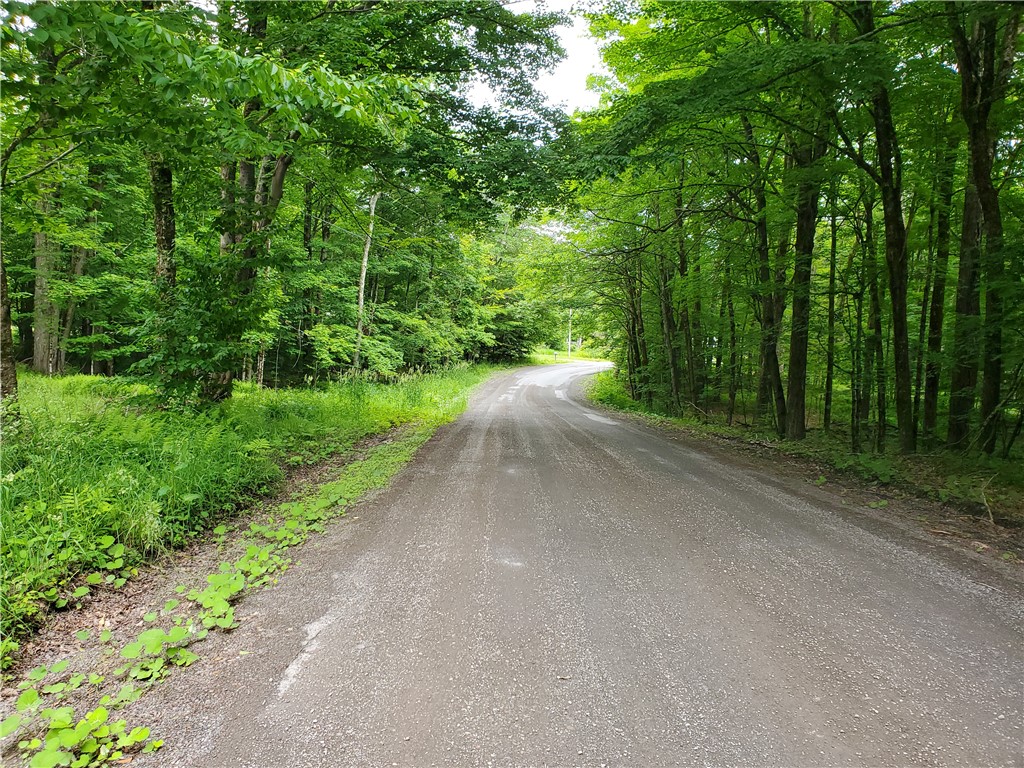 451 Dunham Road Meredith, NY 13753 - Photo 27 of 39