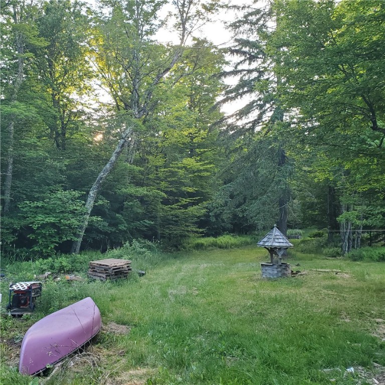 451 Dunham Road Meredith, NY 13753 - Photo 29 of 39