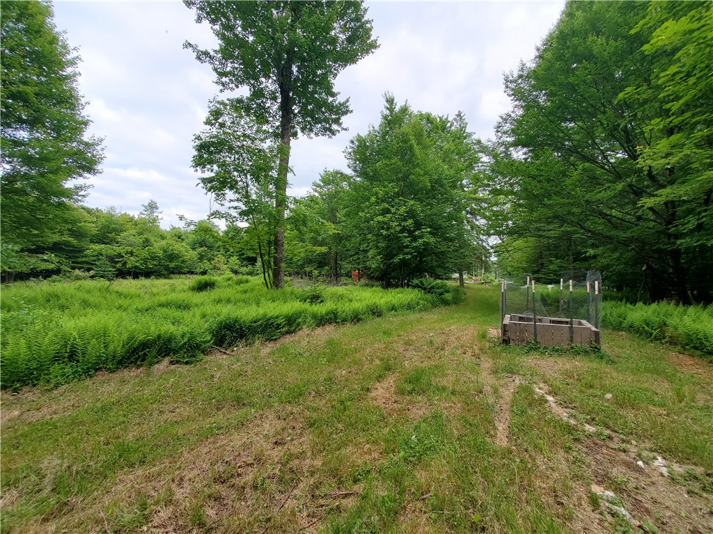 451 Dunham Road Meredith, NY 13753 - Photo 30 of 39