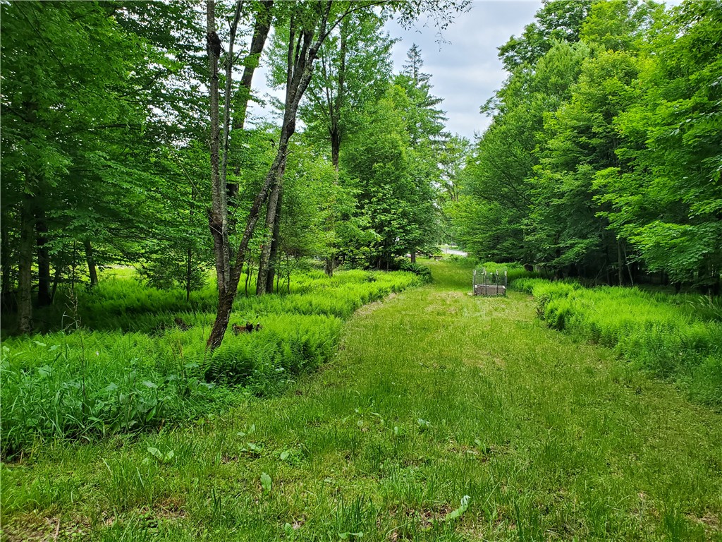 451 Dunham Road Meredith, NY 13753 - Photo 31 of 39