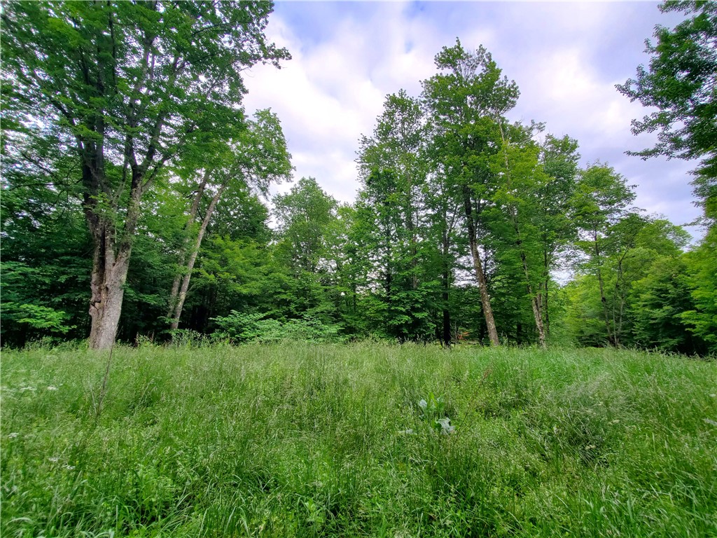 451 Dunham Road Meredith, NY 13753 - Photo 32 of 39