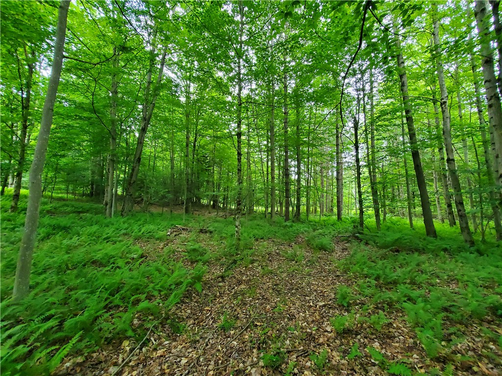 451 Dunham Road Meredith, NY 13753 - Photo 33 of 39