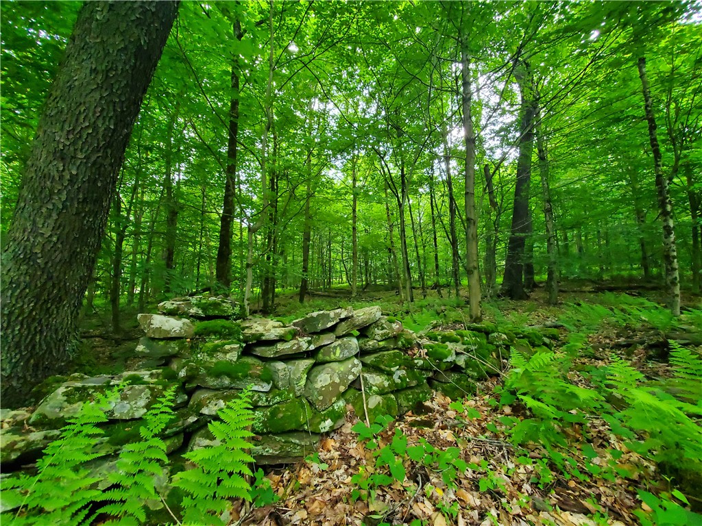 451 Dunham Road Meredith, NY 13753 - Photo 34 of 39