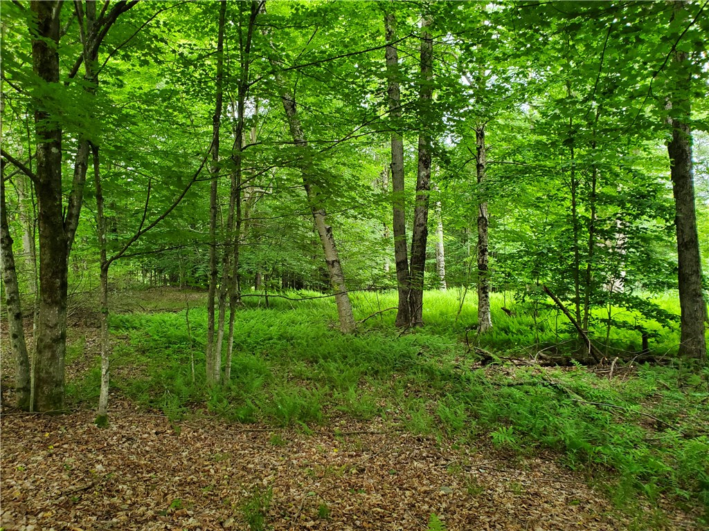 451 Dunham Road Meredith, NY 13753 - Photo 35 of 39