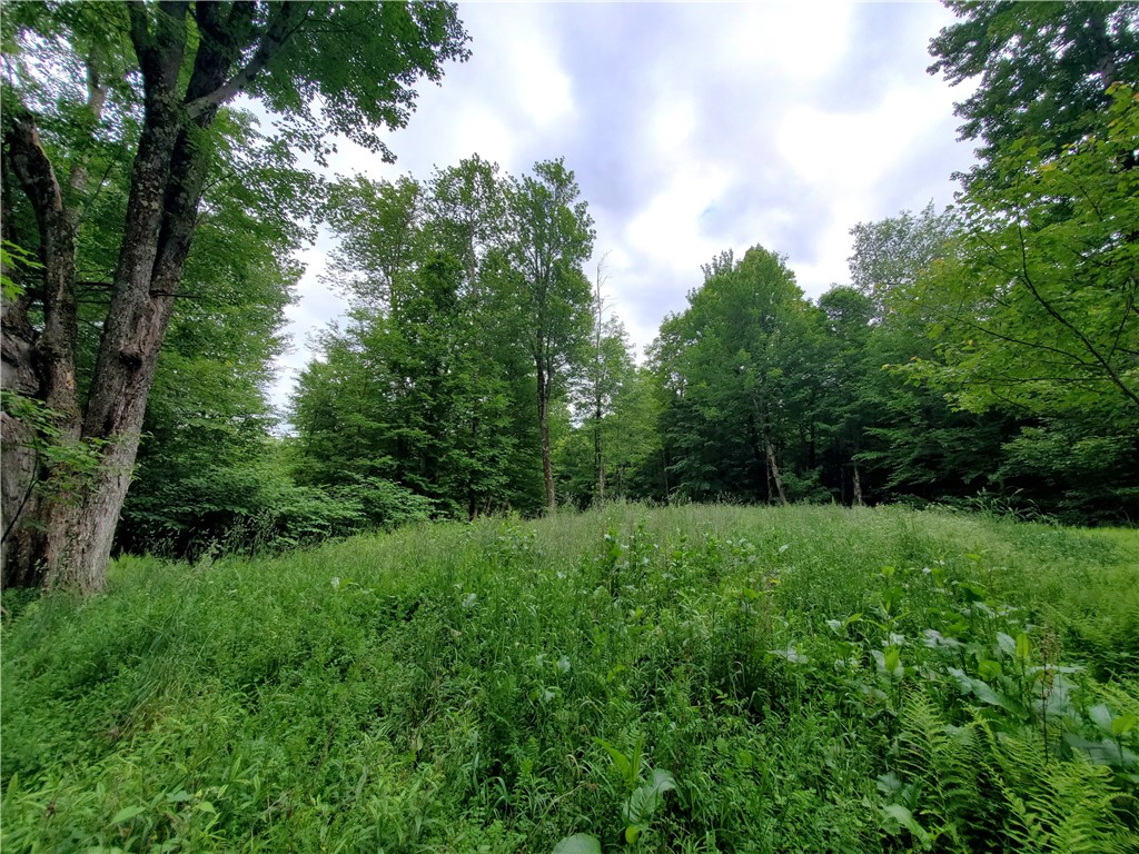 451 Dunham Road Meredith, NY 13753 - Photo 36 of 39