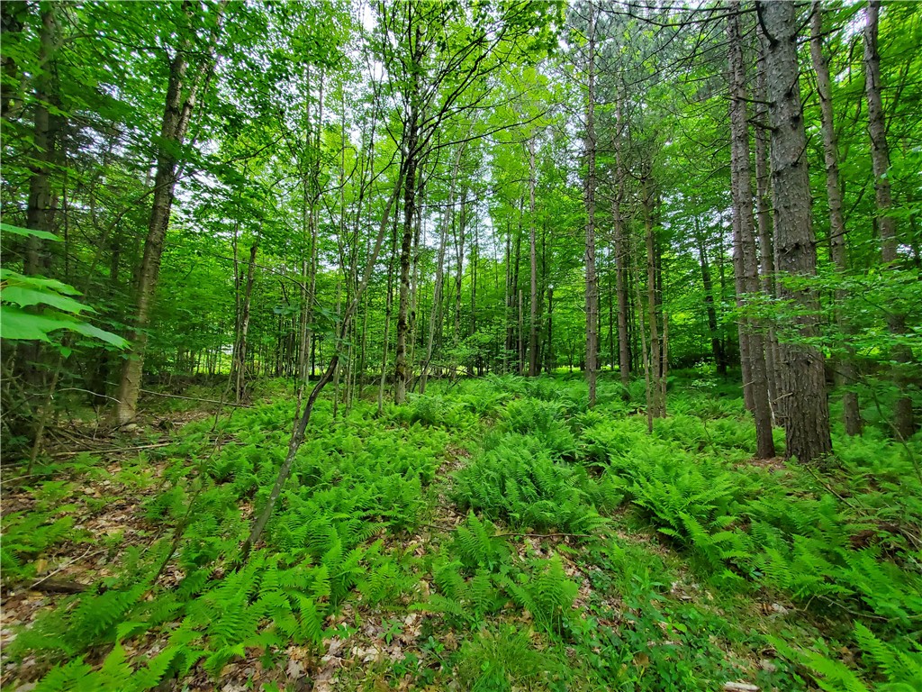 451 Dunham Road Meredith, NY 13753 - Photo 37 of 39