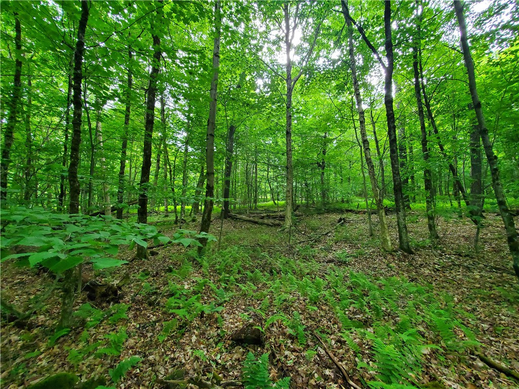 451 Dunham Road Meredith, NY 13753 - Photo 38 of 39