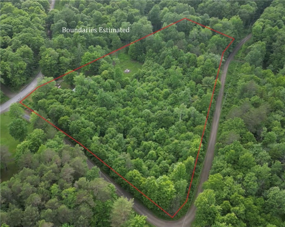 451 Dunham Road Meredith, NY 13753 - Photo 6 of 39