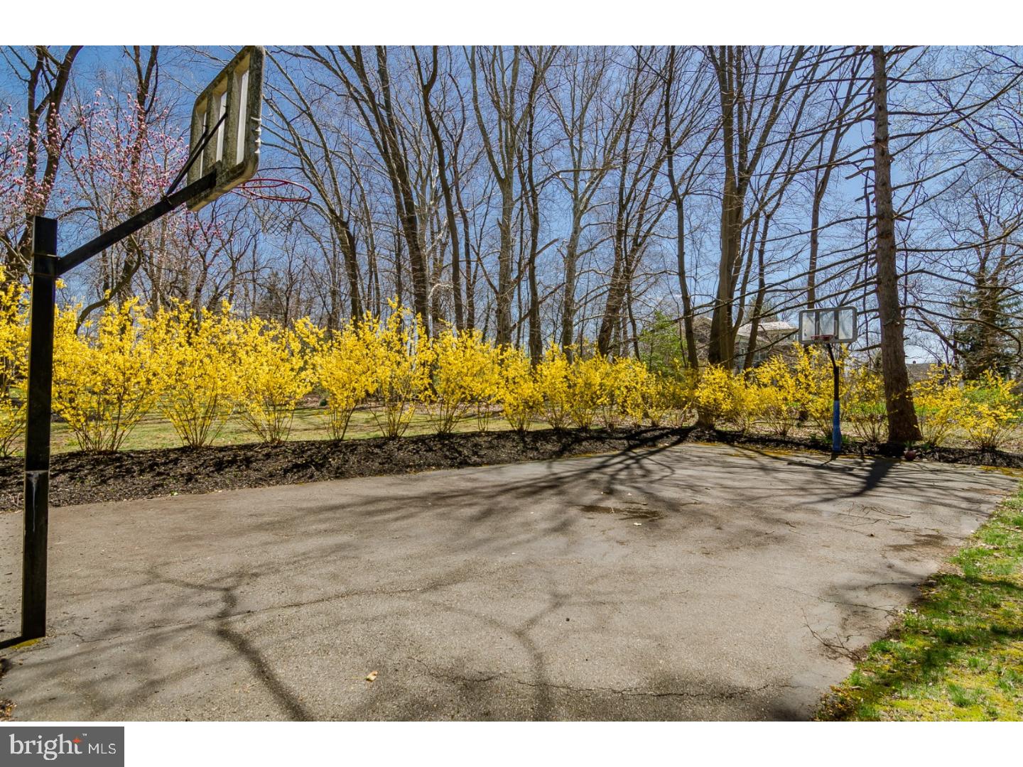 3481 Lawrenceville Road Princeton, NJ 08540 - Photo 19 of 24 Gallery Image 19