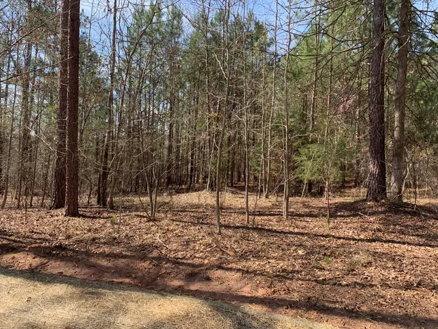 $57,000 | 1403 Tanyard Creek Drive, Thomson, GA 30824