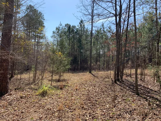 $57,000 | 1403 Tanyard Creek Drive, Thomson, GA 30824