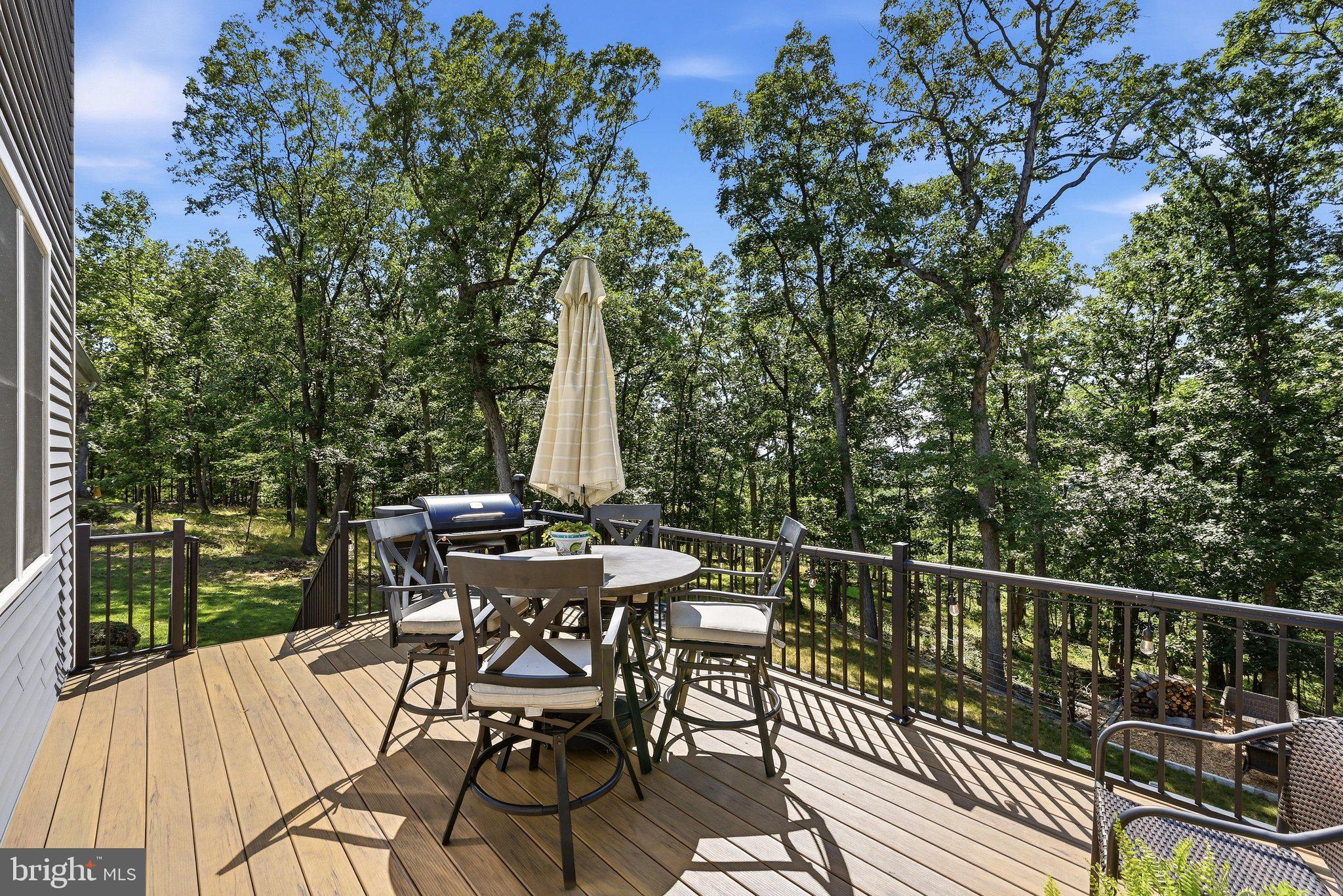 2251 Hunting Ridge Road Winchester, VA 22603 - Photo 48 of 63 Deck View