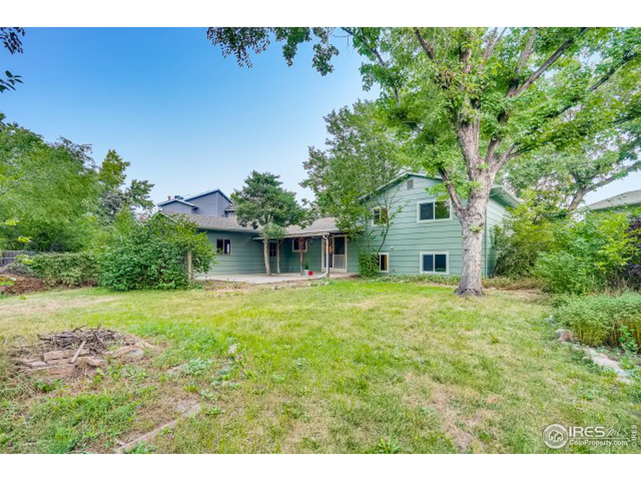 2128 Springfield Court Fort Collins, CO 80521 - Photo 16 of 18 great yard!