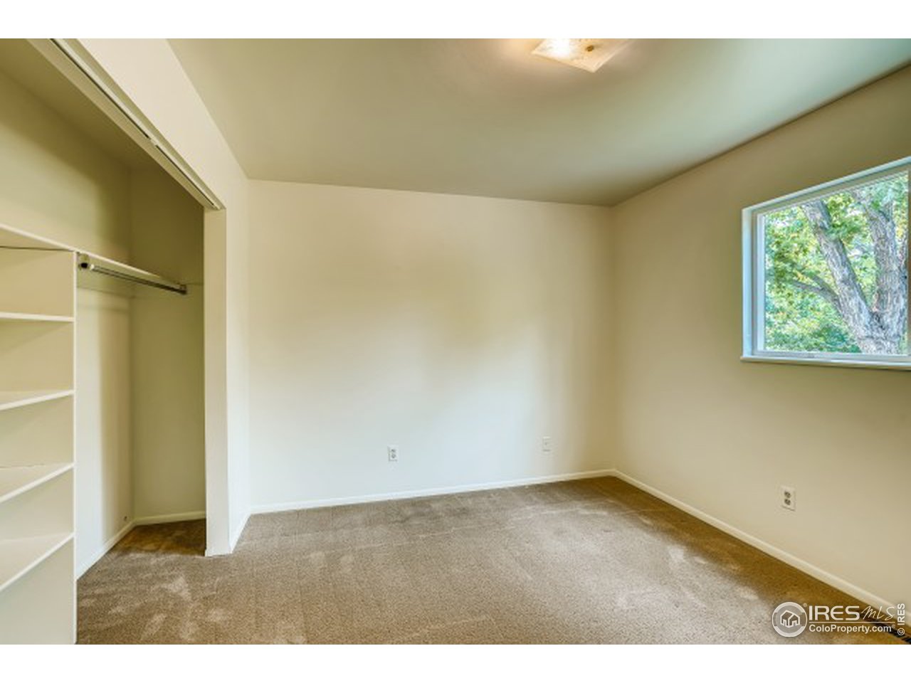 2128 Springfield Court Fort Collins, CO 80521 - Photo 7 of 18 master bedroom upper level