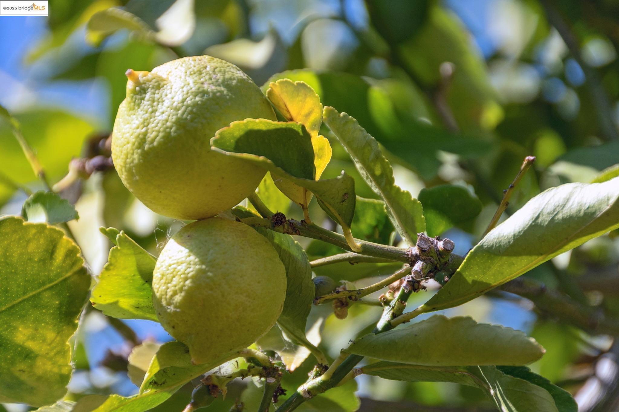 2721 Best Avenue Oakland, CA 94619 - Photo 24 of 28 Exterior view