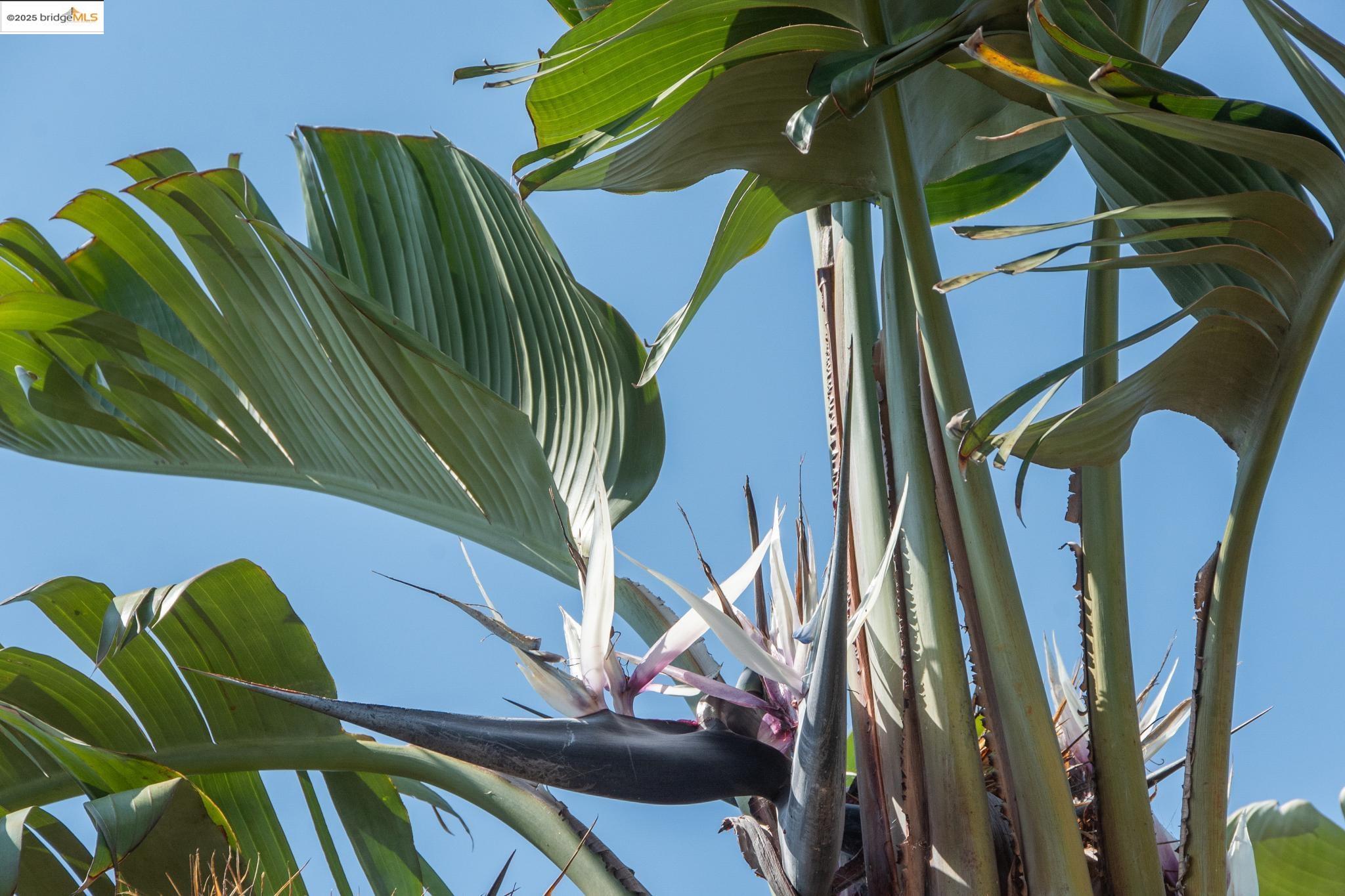 2721 Best Avenue Oakland, CA 94619 - Photo 26 of 28 Exterior view