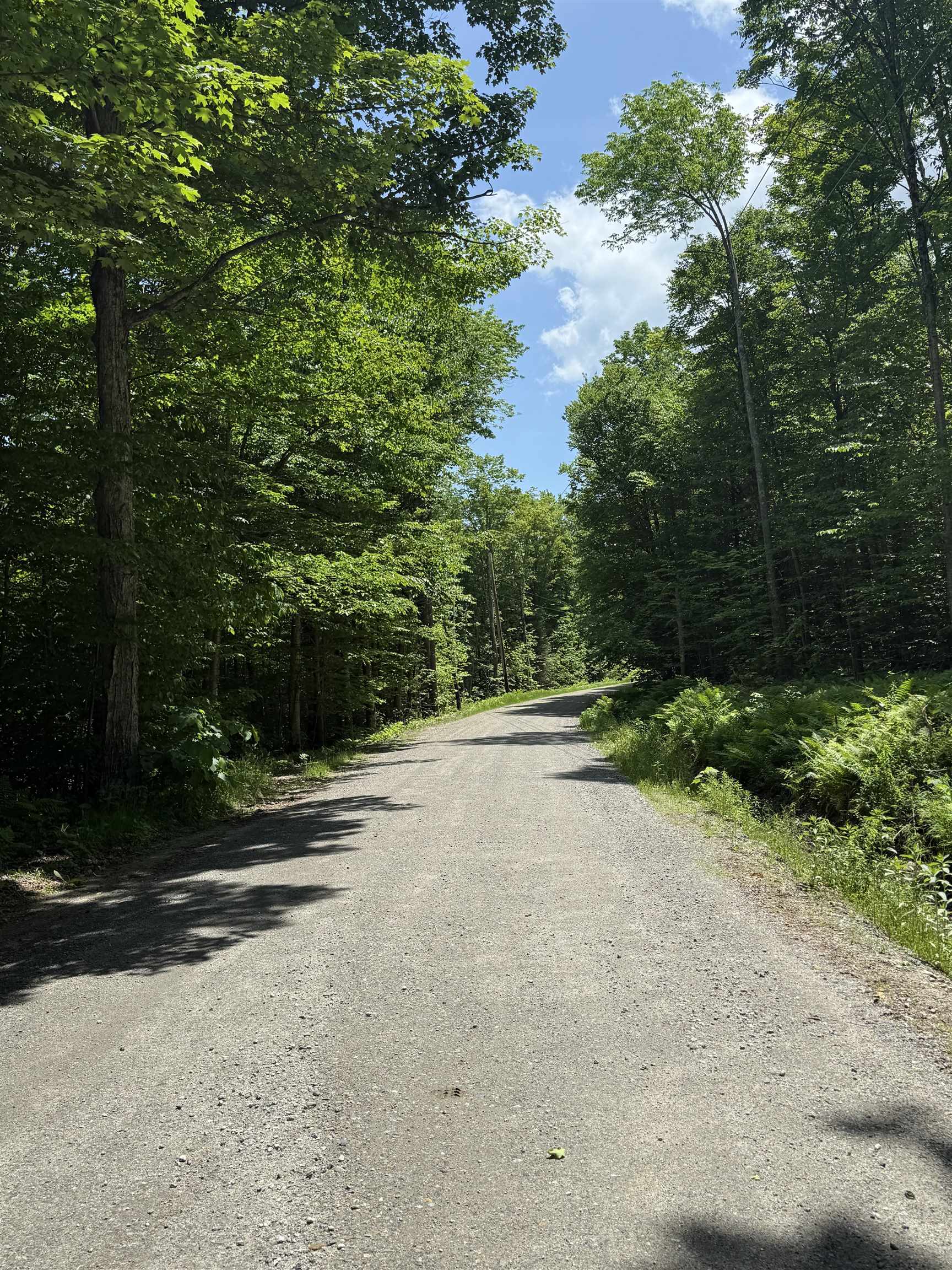 Lot A1 Tunnel Stream Road Woodsville, NH 03785 - Photo 4 of 11