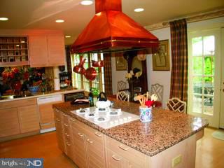 726 Black Rock Road Gladwyne, PA 19035 - Photo 3 of 6