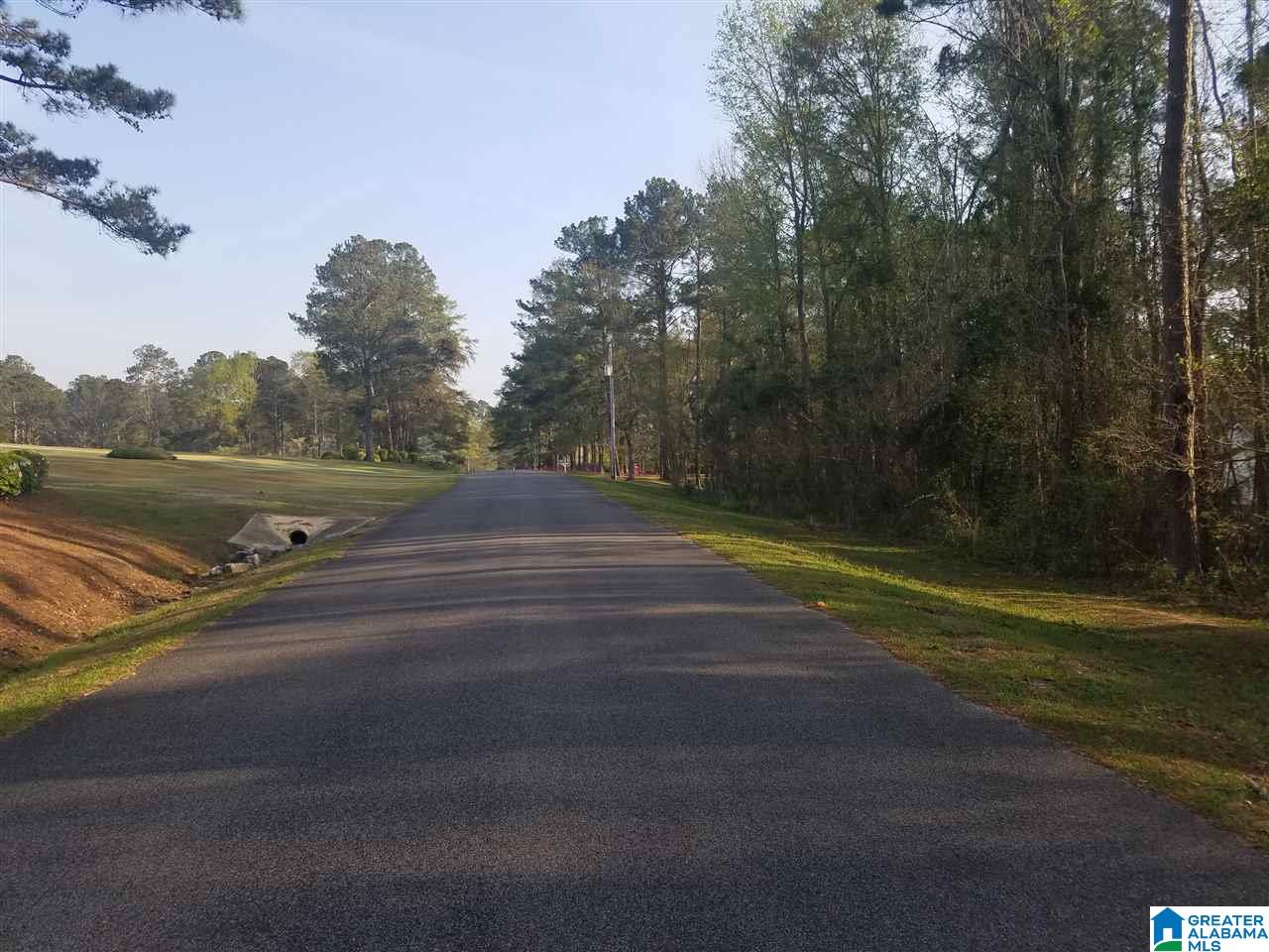 15 North McDowell Road, Unit 15 Clanton, AL 35046 - Photo 3 of 4