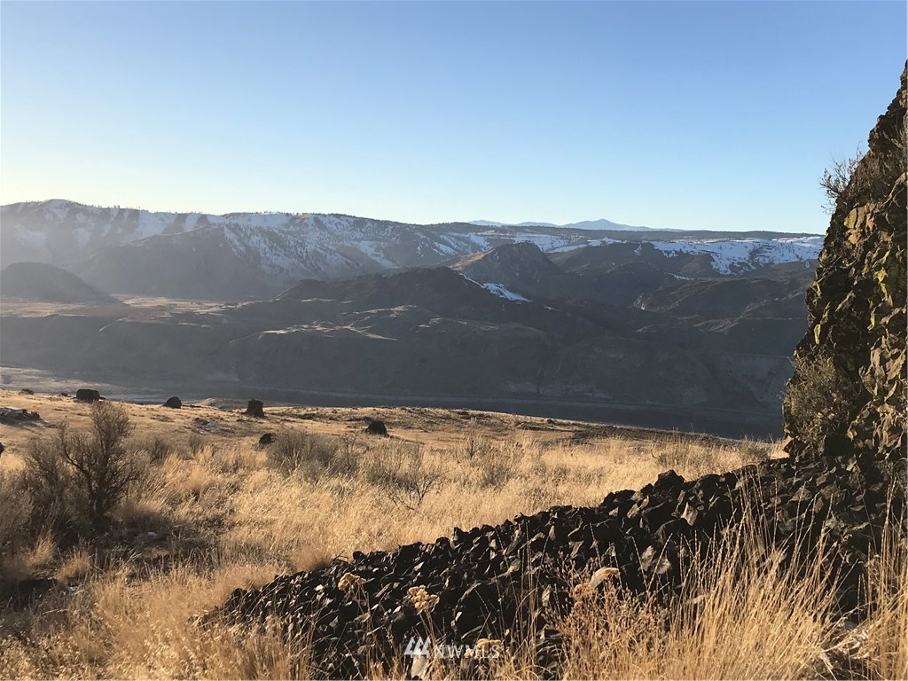 -parcels 20 Road Northwest Waterville, WA 98858 - Photo 3 of 6 a view of a yard with a mountain