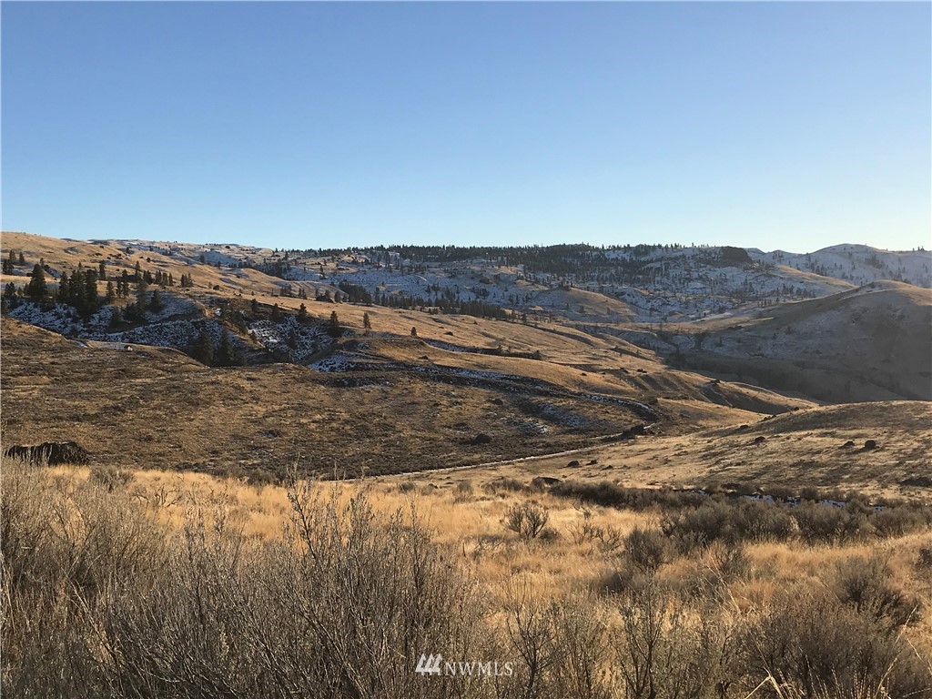 -parcels 20 Road Northwest Waterville, WA 98858 - Photo 4 of 6 a view of ocean view with beach