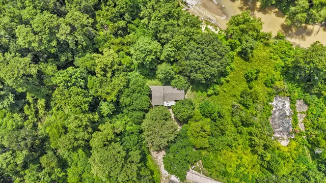 a view of a yard with a tree