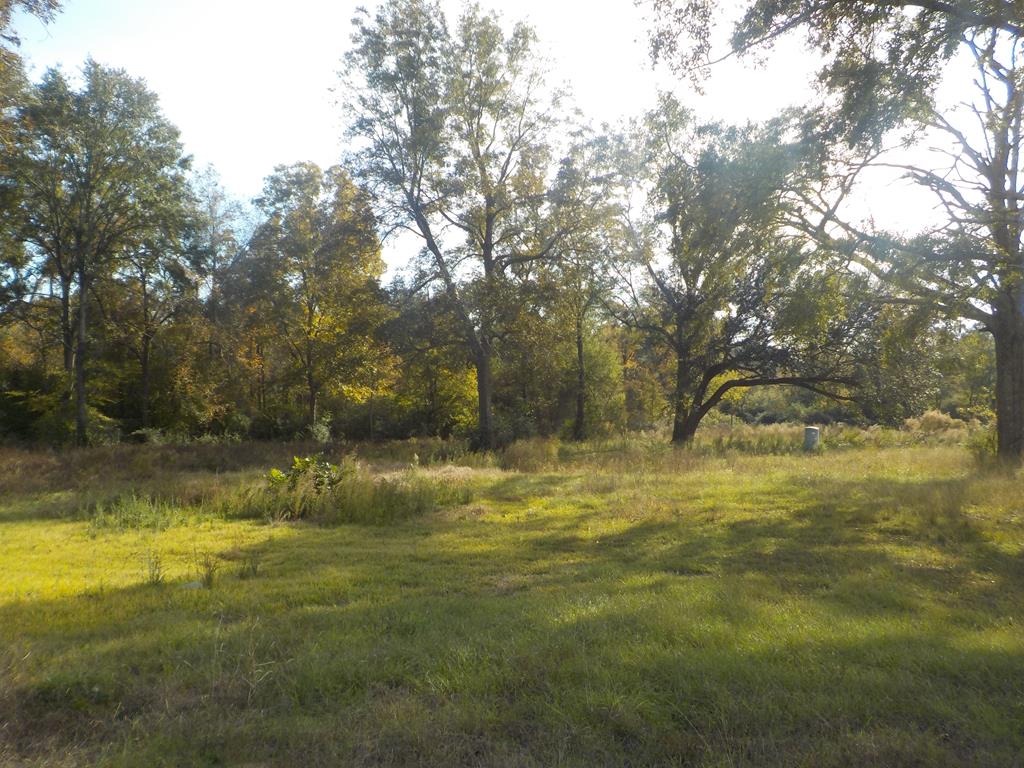 Lot 7 -ac Skipper Road Dothan, AL 36301 - Photo 1 of 1