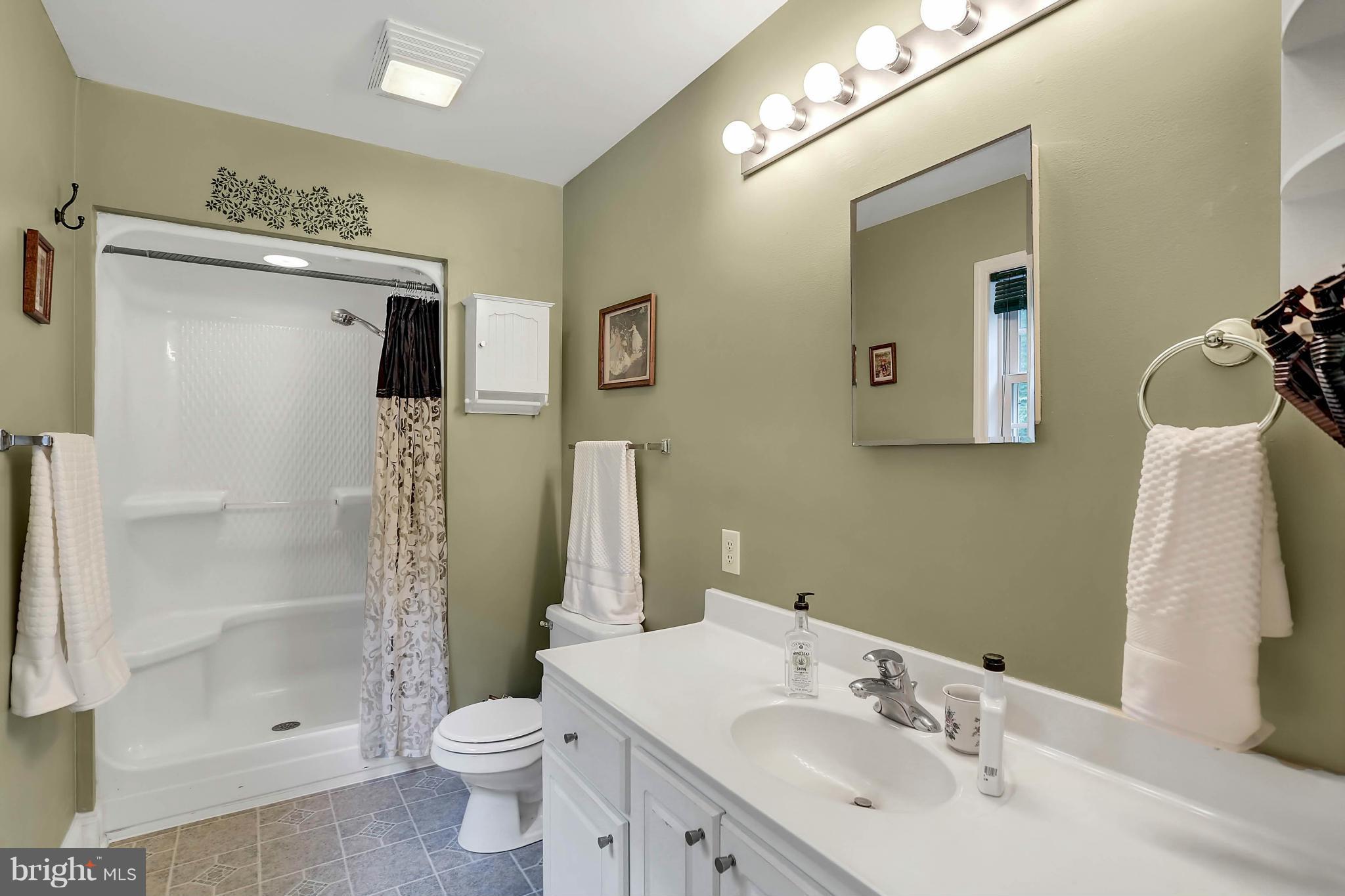 7435 Comorn Road King George, VA 22485 - Photo 13 of 27 Bath (Master)