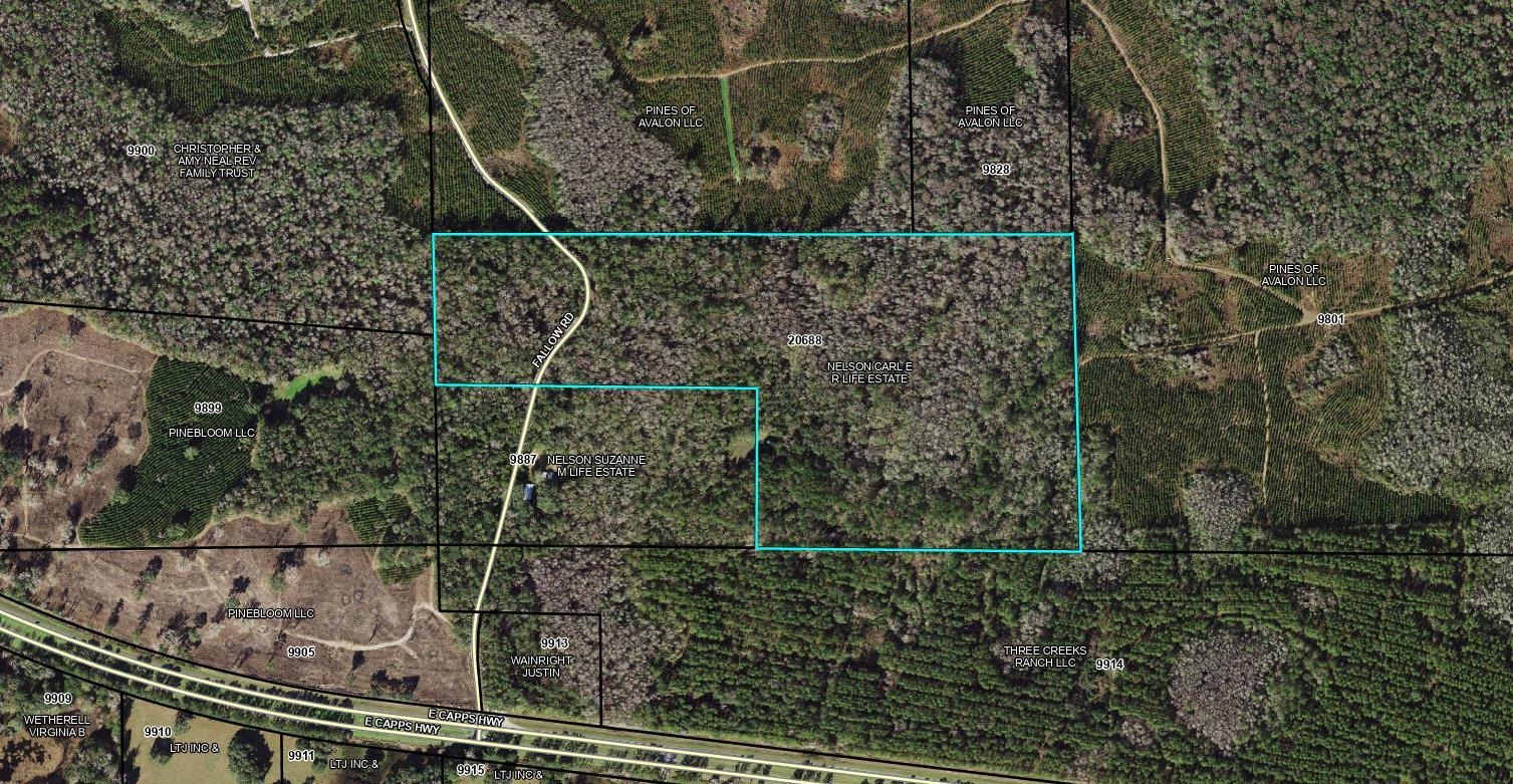 Fallow Road Lamont, FL 32336 - Photo 1 of 12