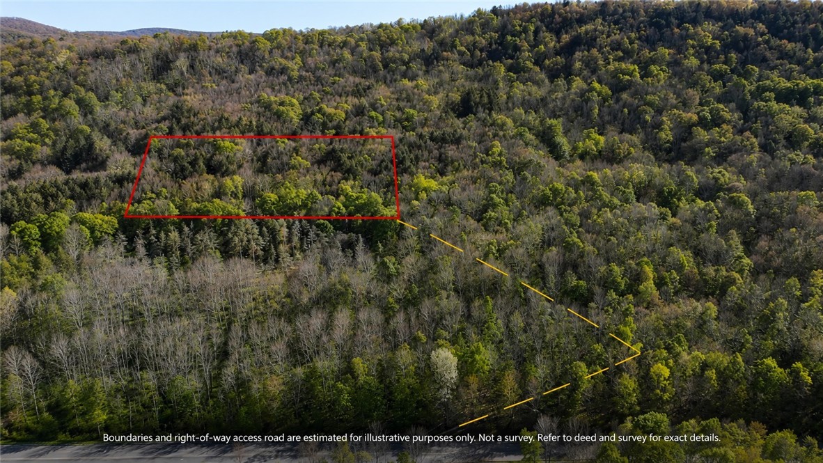 Lot 5 East River Road Andes, NY 13731 - Photo 3 of 39