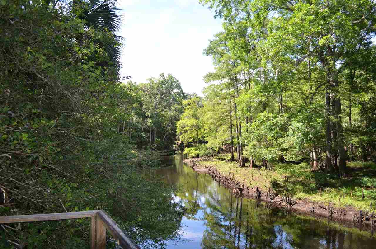 2322 Ancient Oaks Road Steinhatchee, FL 32359 - Photo 12 of 35 Gallery Image 12