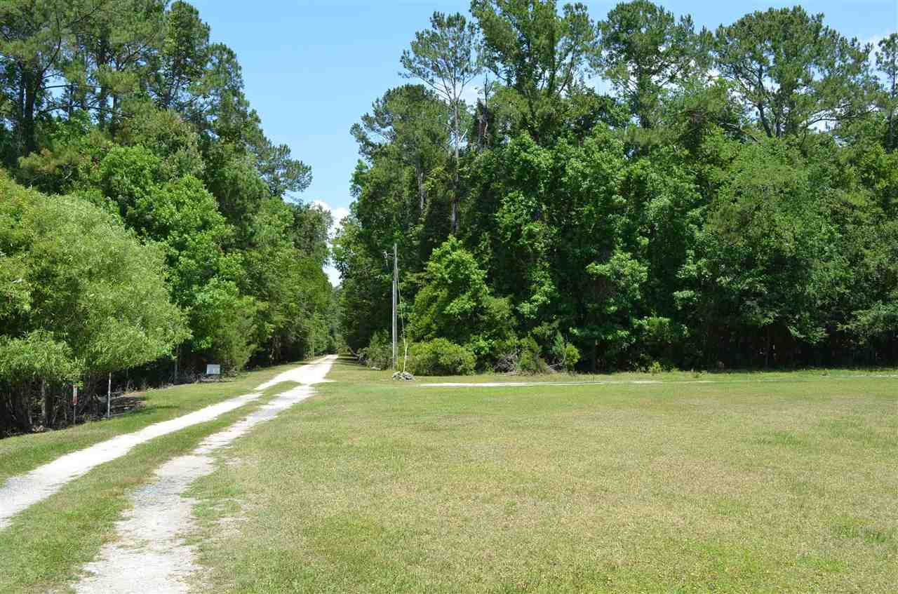 2322 Ancient Oaks Road Steinhatchee, FL 32359 - Photo 3 of 35 Gallery Image 3