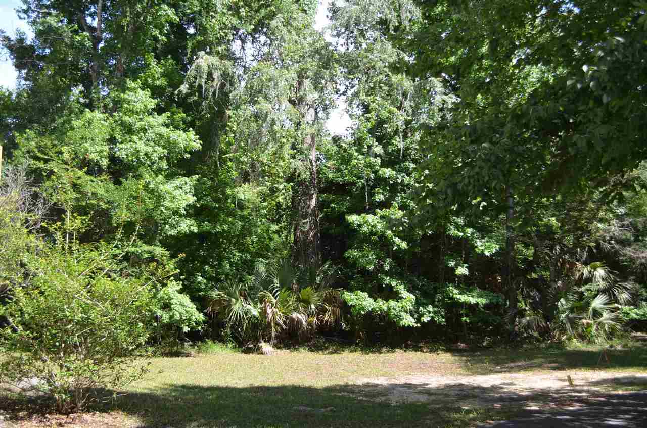 2322 Ancient Oaks Road Steinhatchee, FL 32359 - Photo 7 of 35 Gallery Image 7