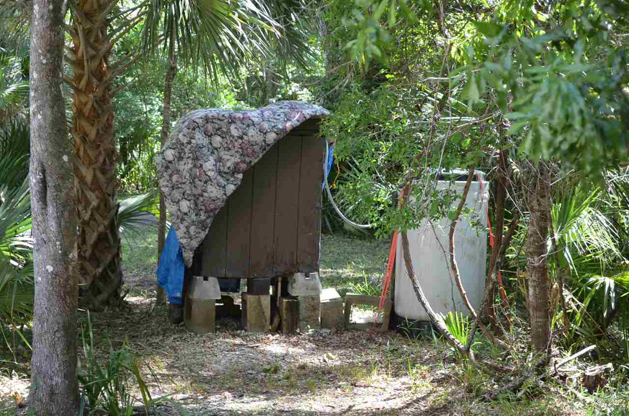 2322 Ancient Oaks Road Steinhatchee, FL 32359 - Photo 8 of 35 Gallery Image 8
