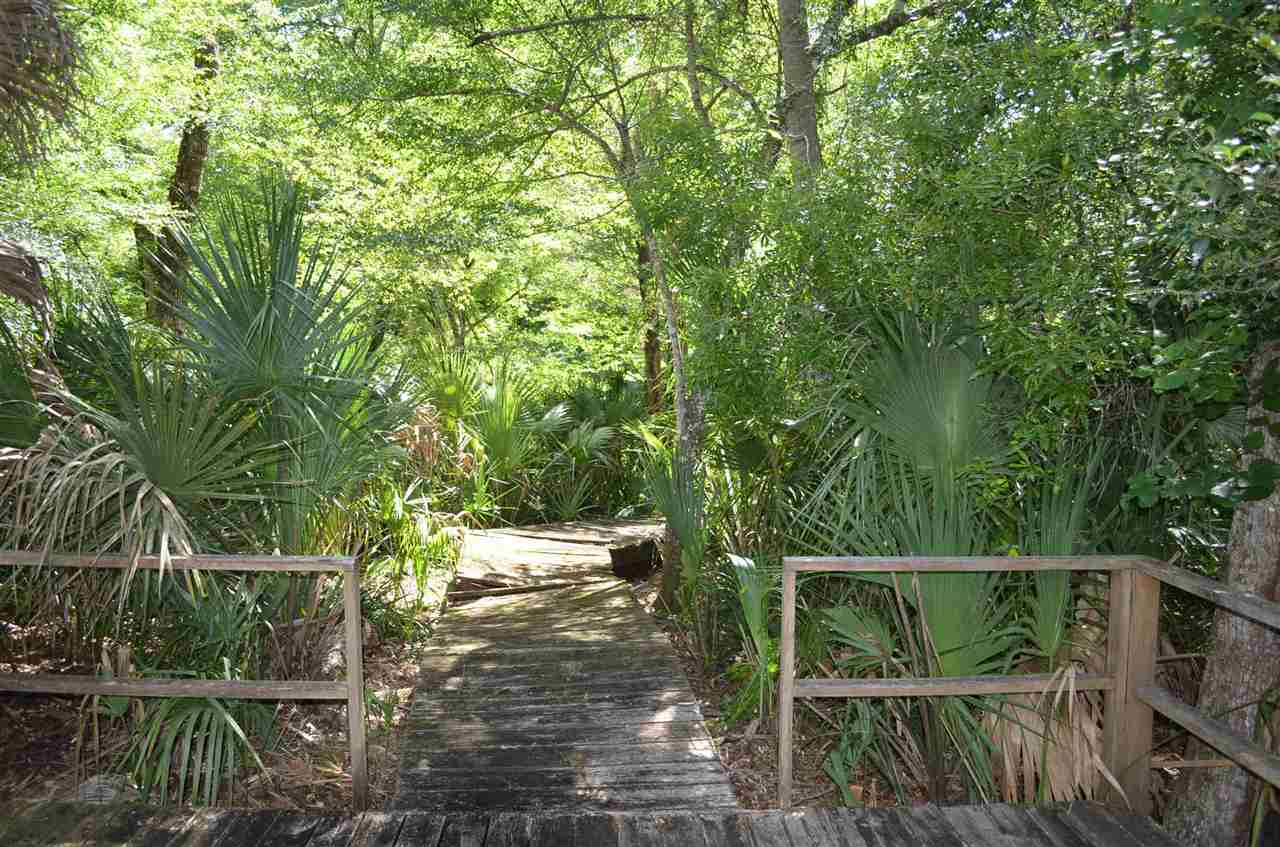 2322 Ancient Oaks Road Steinhatchee, FL 32359 - Photo 9 of 35 Gallery Image 9