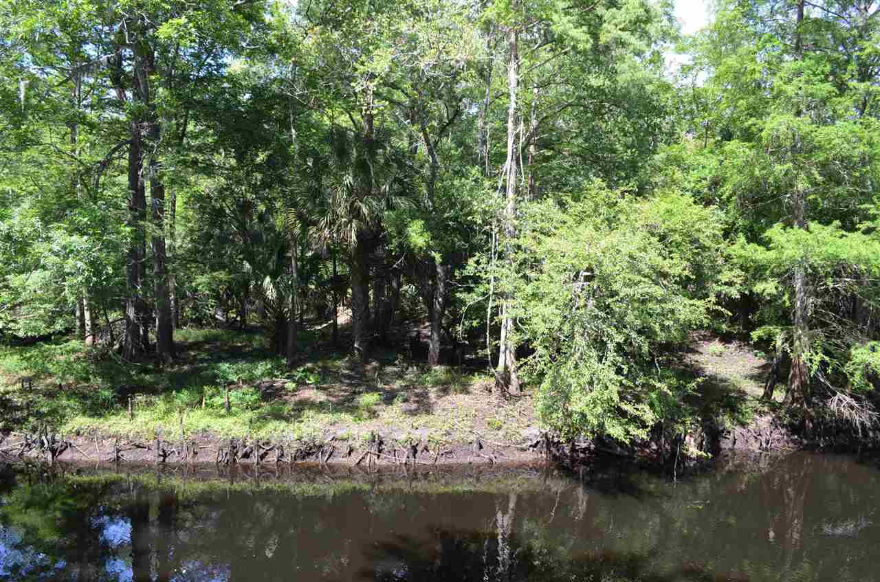 2322 Ancient Oaks Road Steinhatchee, FL 32359 - Photo 10 of 35 Gallery Image 10