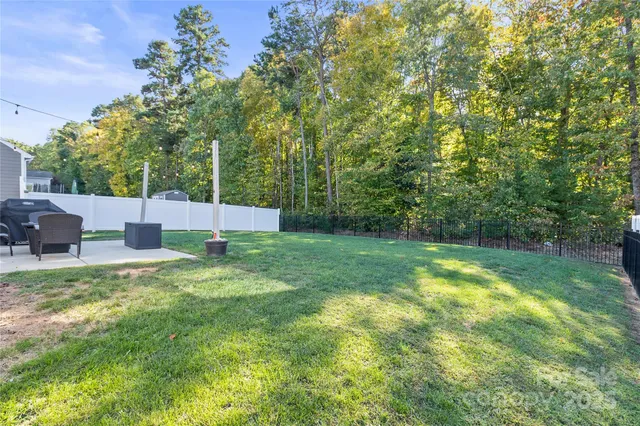 a view of a backyard with plants and large tree