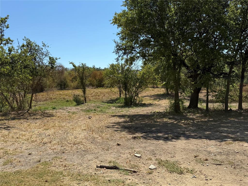 803 Billings Road Tolar, TX 76476 - Photo 4 of 7 Expansive undeveloped land with mature trees and natural vegetation